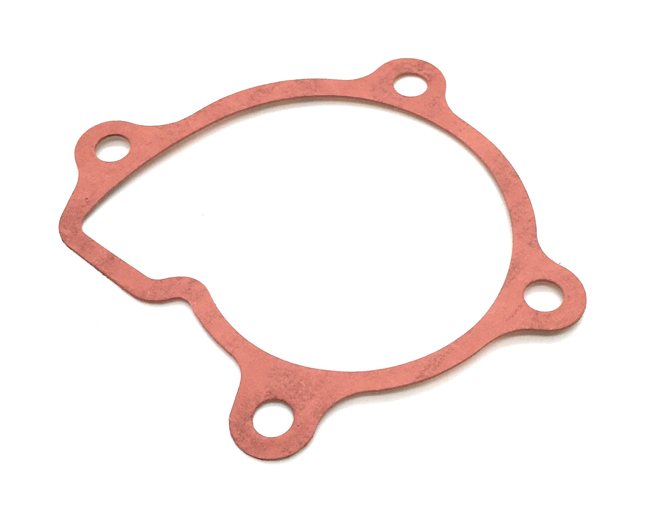 Amazon.com: REPLACEMENTKITS.COM Brand Water Pump Gasket Compatible